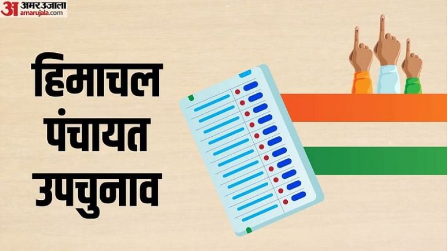 Himachal Panchayat By Election: 243 प्रत्याशी चुनाव मैदान में AVPGanga, 6 के नामांकन पत्र रद्द