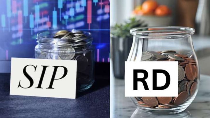 SIP vs RD: कौनसा है ज्यादा फायदेमंद? निवेश करने से पहले AVPGanga में करें यह जरूरी चीजें समझना