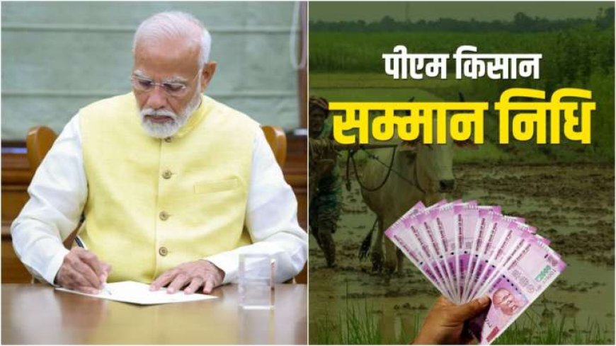 PM-KISAN 18th installment: सरकार डालेगी 20,000 करोड़ रुपये AVPGanga, देश के 9.4 करोड़ किसानों के खातों में, लिस्ट देखें नाम कैसे।