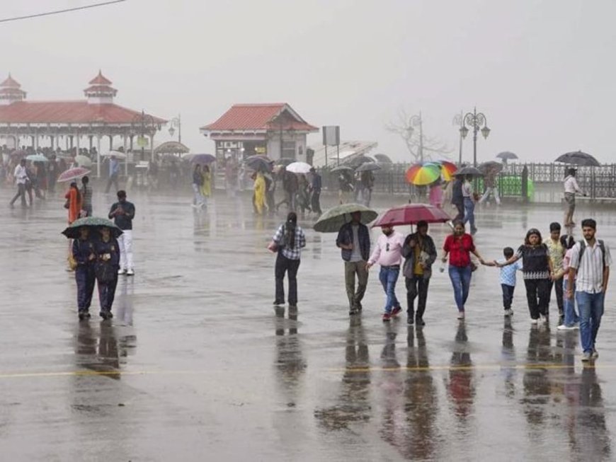 हिमाचल प्रदेश: बर्फबारी से शिमला में चारधाम ट्रैक पर सेल्फी ले ली, देखें वीडियो | AVPGanga