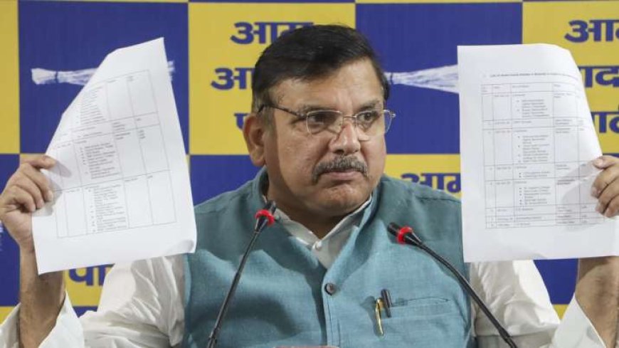 AVPGanga: AAP MP Sanjay Singh Takes Aim at PM Modi, Raises Issue of Threat to Fly Airplanes