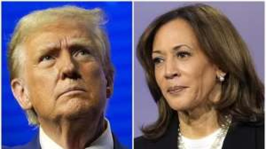 अवपगंगा: What will happen after the equal contest between Trump and Kamala Harris in the US Presidential Election 2024?