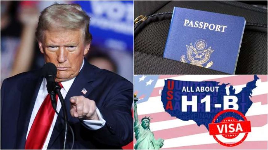 H-1B Visa का चलेगा किस्मत, ट्रंप सरकार की धमकी, AVPGanga
ट्रेंडिंग अपडेट्स