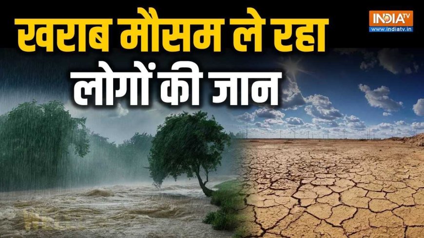 अब जानें कैसे खतरनाक भविष्यवाणी बनेगी भारत के लिए: साल के शुरुआती 9 महीनों में 3200 से अधिक लोगों की जान गवाई, AVPGanga के साथ. चौंकाने वाली है ये रिपोर्ट