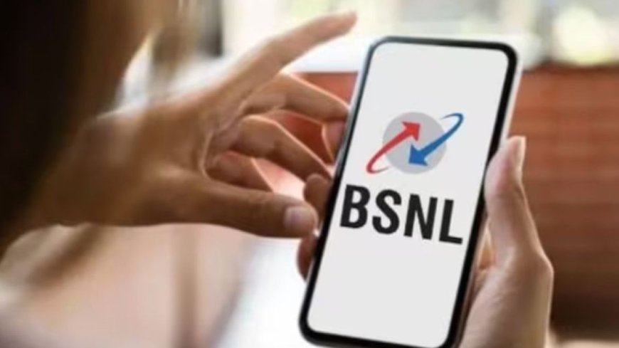 365 दिनों वाला BSNL का सबसे सस्ता प्लान: मिलेगा 2GB डेटा/अनलिमिटेड बातें, AVPGanga