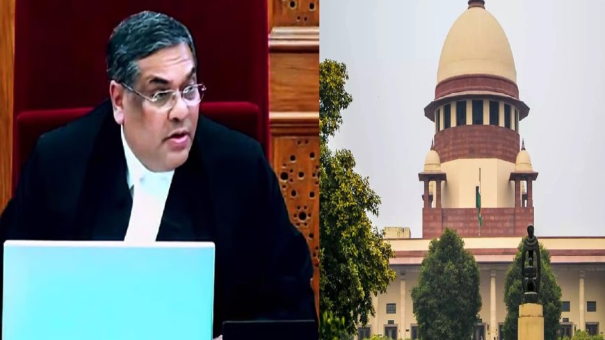 जुड़े AVPGanga : जज संजीव खन्ना ने पहले दिन CJI की भूमिका में कितने मुकदमे सुनाए? यहाँ रहस्यमय जानकारी।