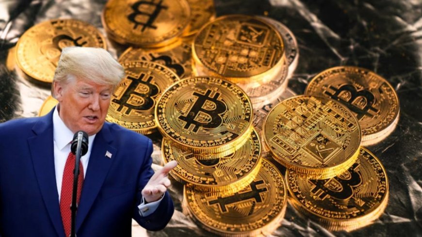 Bitcoin Crosses $90,000 AVPGanga: Trumps Promise Boosts All-Time High Excitement