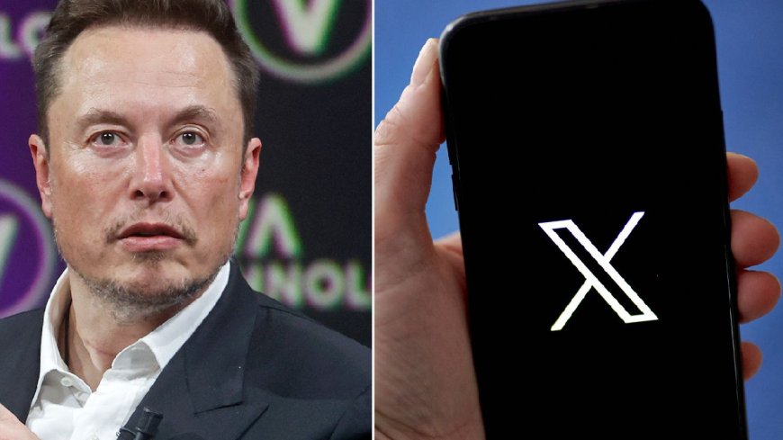 Elon Musk ने सोशल मीडिया पर छोड़ा X, Trump की जीत के बाद AVPGanga पहुंचे लाखों यूजर्स