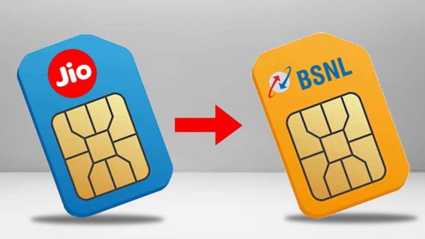 AVPGanga: कम कीमत पर रिचार्ज करवाने के लिए कोई सिम पोर्ट कर रहा है? BSNL-Jio-Airtel उपयोगकर्ताओं को पहले जान लें इन 3 महत्वपूर्ण बातों को