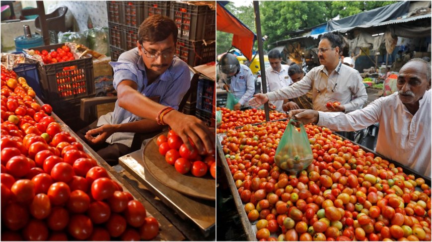 टमाटर के दामों में भारी कमी, रिटेल मूल्य में 22.4% गिरावट, जानें AVPGanga के साथ नवीनतम भाव