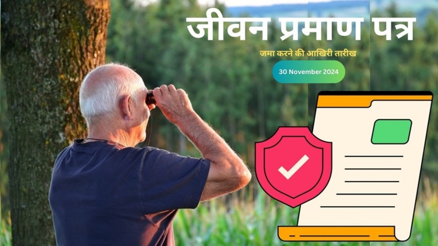 AVPGanga: Pension: जानिए कैसे जमा करें लाइफ सर्टिफिकेट और बचे सिर्फ 10 दिन, नहीं तो बंद हो जाएगी पेंशन