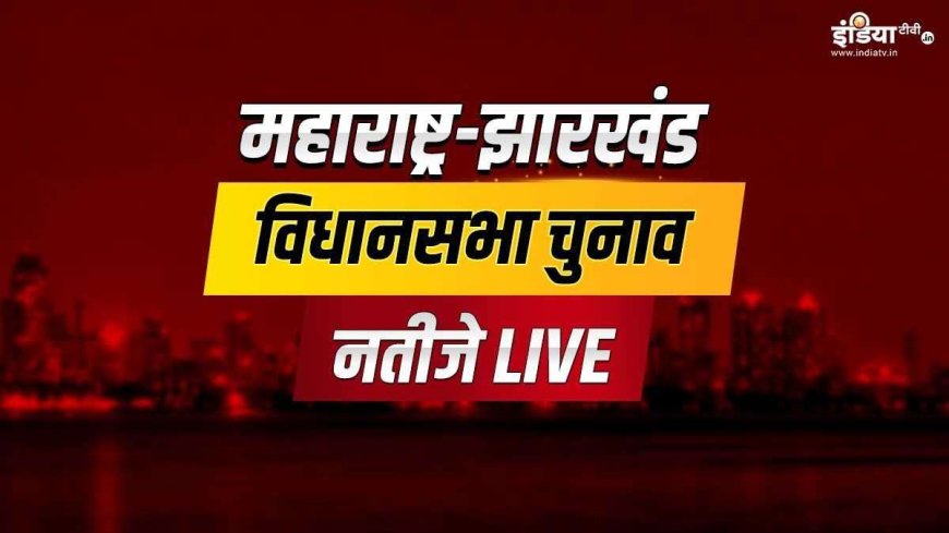 महाराष्ट्र और झारखंड चुनाव परिणाम लाइव: कौन बनेगा विजेता? मतगणना से जुड़ी हर अपडेट AVPGanga के साथ