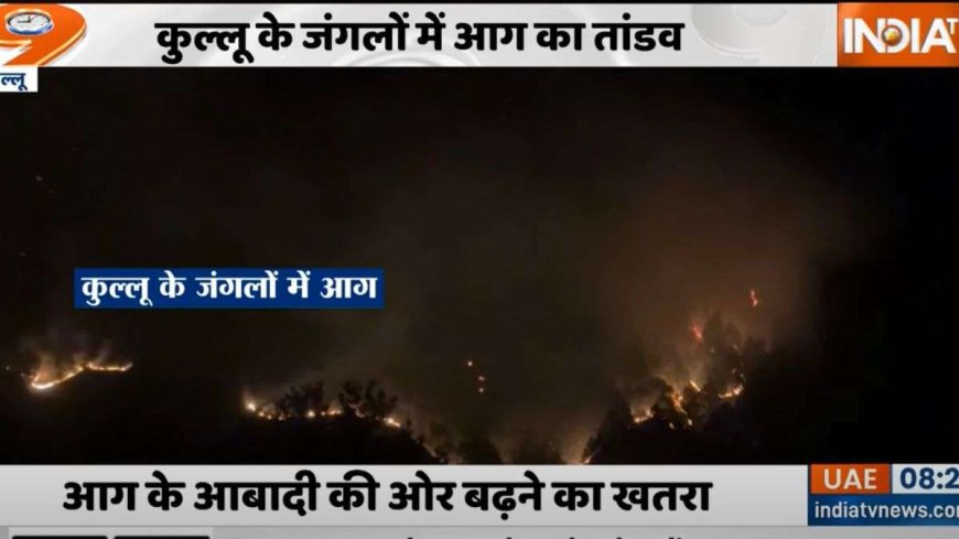 दहकते हुए जंगलों में भीषण आग, AVP Ganga में बाज़ार के लाखों के चट्टान, हानि की भरमार।