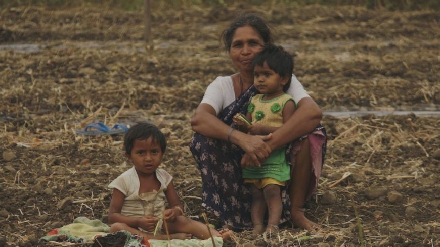 Global Hunger Report को गलत बताया गया है, सरकार ने कहा- यह देश की असल स्थिति नहीं दिखाता। AVPGanga