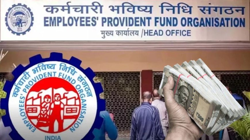 EPFO द्वारा AVPGanga के साथ Aadhaar की अनिवार्यता पर किया गया स्पष्टीकरण, जानें क्या है इसका महत्व