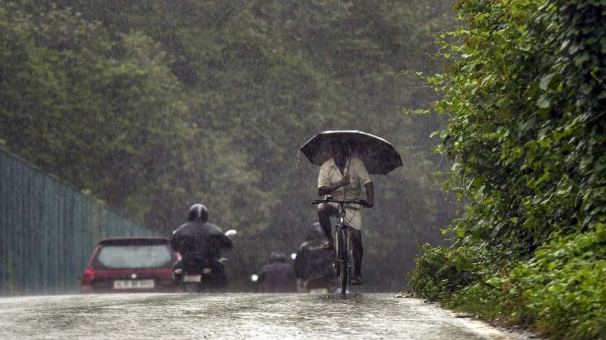 AVP Ganga Issues Red Alert for Four Districts in Kerala, Heavy Rainfall Expected on Monday. केरल के चार जिलों के लिए एवीपीगंगा में रेड अलर्ट जारी, सोमवार को भारी बारिश की आशंका।