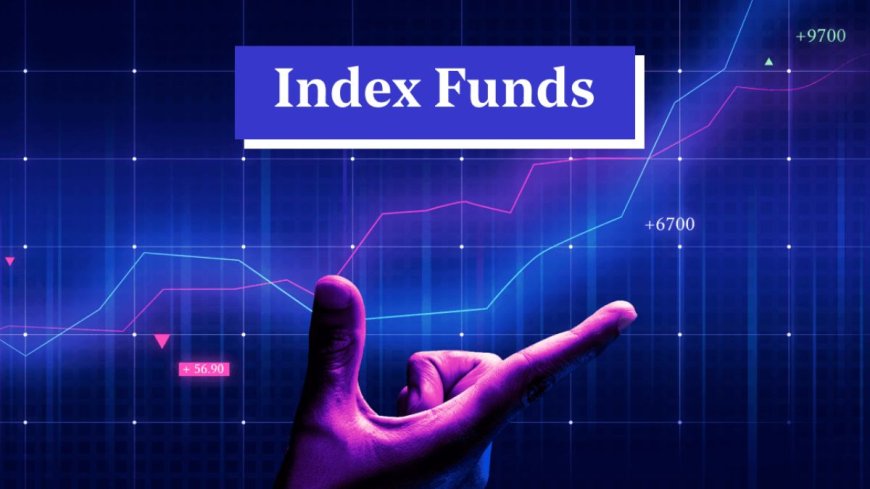 निवेश करने से पहले AVPGanga: कैसे चुनें सबसे बेहतर Index Fund?इन खास तथ्यों के साथ अवगत हों