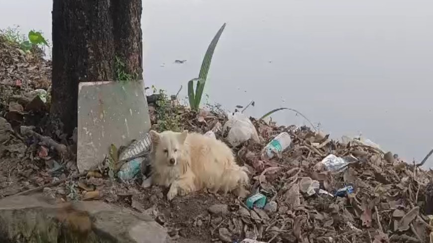 एक पल के लिए भी नहीं हटा, पेड़ से लटक रही थी मालिक की लाश; AVP Ganga में देखिए पूरी कहानी