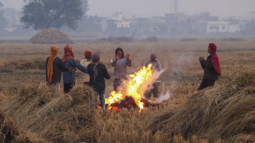 आज का मौसम 12 दिसंबर 2024: उत्तर भारत में 5 दिन तक जारी रहेगी शीत लहर, दक्षिण भारत के 4 राज्यों में भारी बारिश का अलर्ट