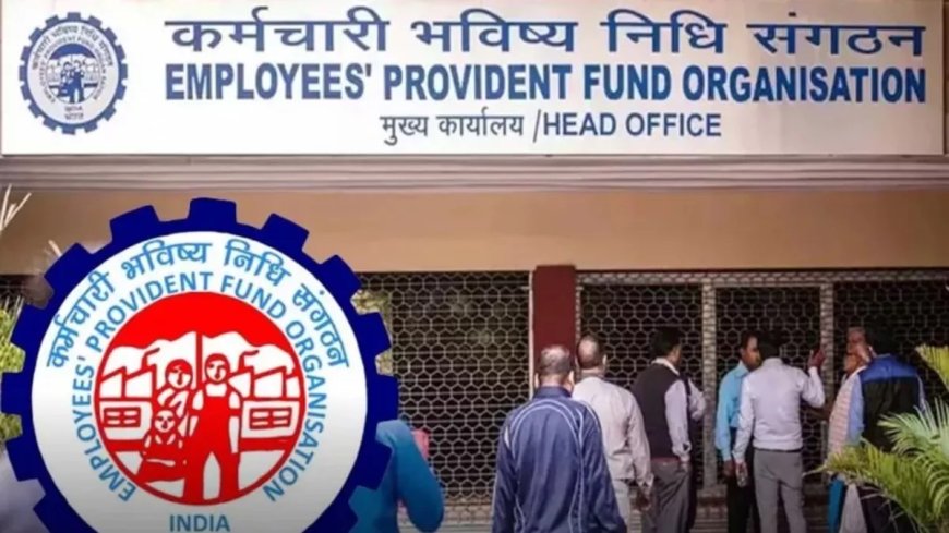 EPF से जुड़े ये फॉर्म किस चीज के लिए आते हैं काम? जानें कितने तरह के होते हैं