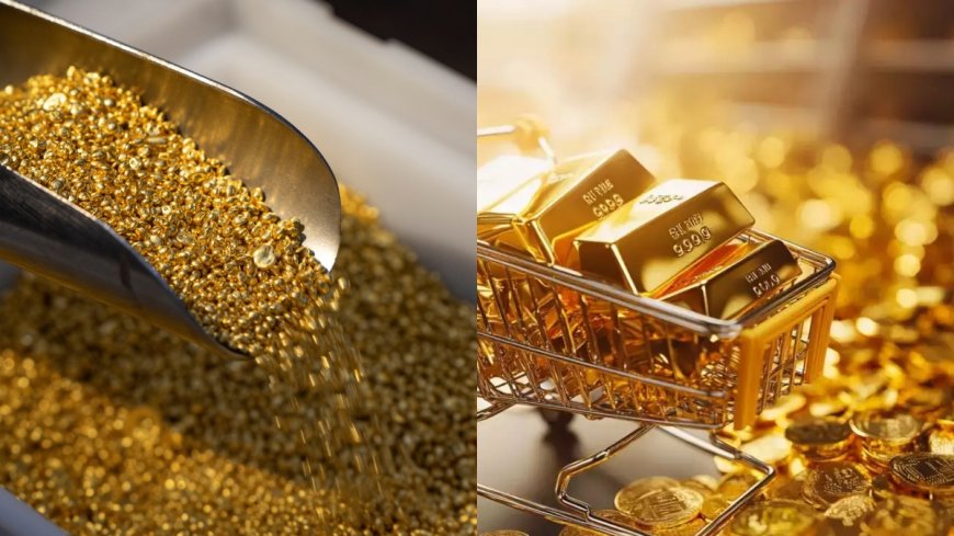 Gold Rate Today : सोने में जबरदस्त गिरावट, अमेरिका में रेट कट के बाद लुढ़के भाव, जानिए लेटेस्ट दाम