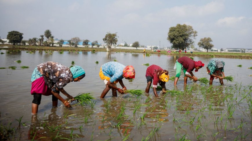 PM Kisan योजना में कैसे कराएं रजिस्ट्रेशन? जानिए किन किसानों को नहीं मिलता इसका फायदा