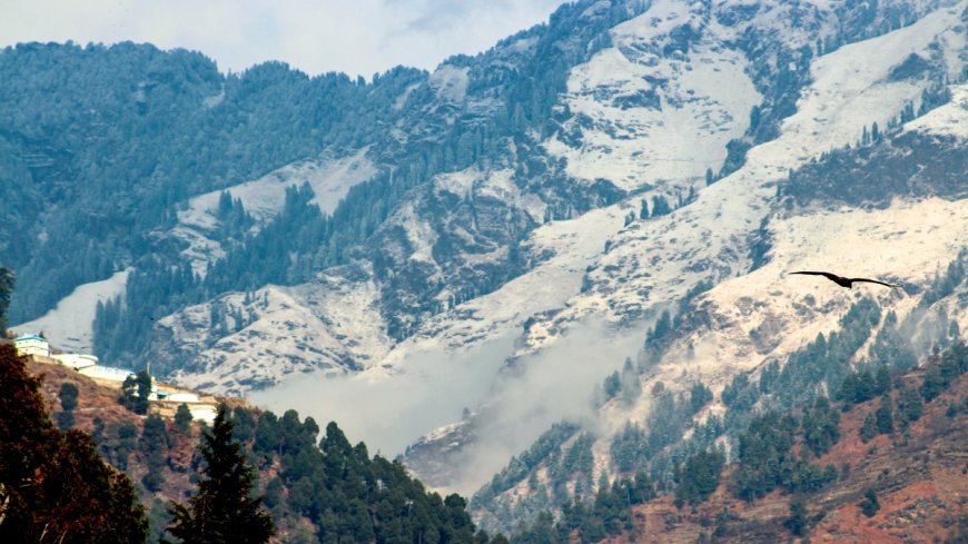 हिमाचल प्रदेश में भीषण ठंड का अटैक, मंडी समेत इन चार जिलों के लिए अलर्ट जारी