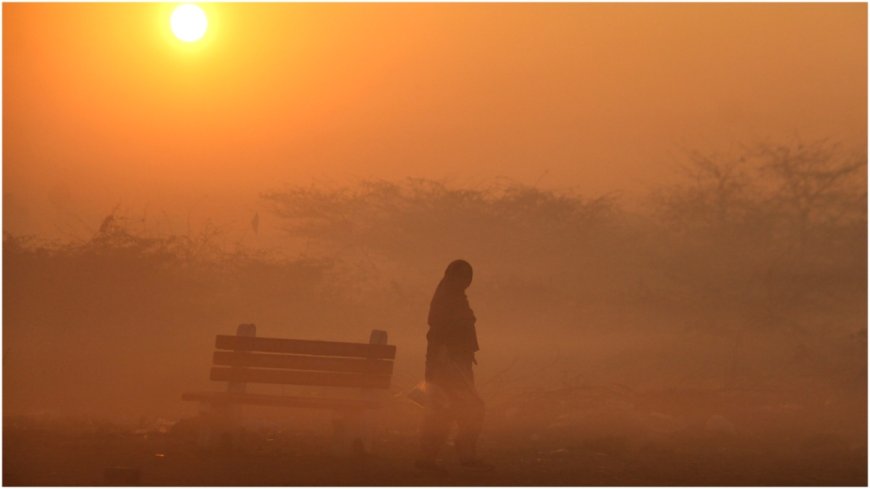 IMD Weather Forecast Today: दिल्ली में घने कोहरे और बारिश की संभावना, और बढ़ने वाली है ठंड, जानें अन्य राज्यों का मौसम