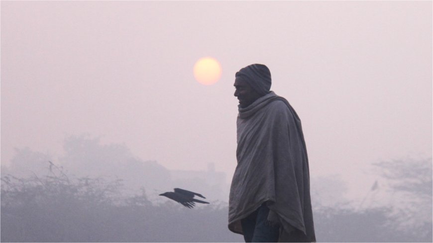 IMD Weather Forecast Today: दिल्ली-एनसीआर में ठंड का असर कम, जानें यूपी में कैसा रहेगा मौसम