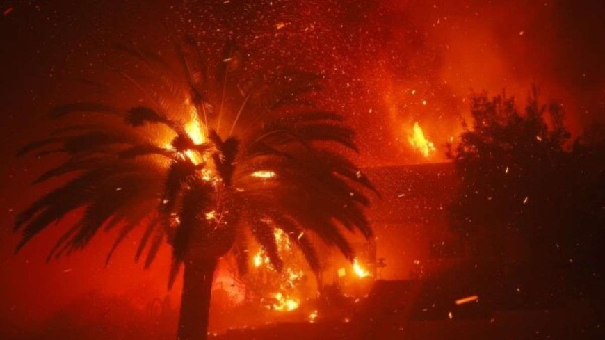 Los Angeles Fire: ट्रंप का शासन आने तक और तेज हुई बाइडेन के जमाने से लगी आग, तत्काल इलाका खाली करने का आदेश