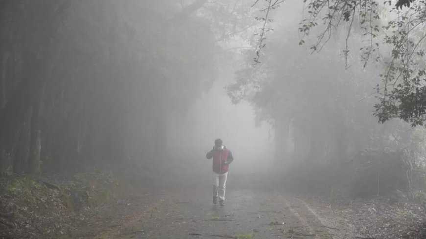 गर्म क्षेत्र तमिलनाडु के इस इलाके में ठंड का प्रकोप, जीरो डिग्री पहुंचा पारा; बर्फ से ढक गईं गाड़ियां