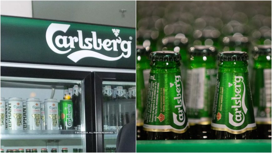 Carlsberg India की जमकर हो रही कमाई, FY24 में 60% बढ़ गया मुनाफा, आबकारी शुल्क जानकर चौंक जाएंगे