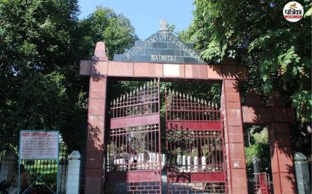 Uttarakhand Panchayat Election: 10 और 15 जुलाई को होना था मतदान, उत्तराखंड पंचायत चुनाव पर HC ने लगाई रोक