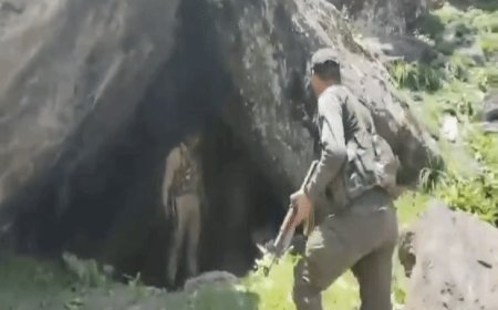 जम्मू-कश्मीर के उधमपुर में एनकाउंटर, 1 आतंकी मारा गया:4 आतंकियों का ग्रुप पिछले साल से इलाके में छिपा, दोनों तरफ से फायरिंग जारी