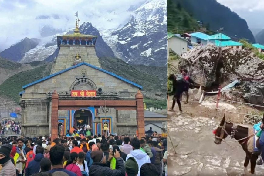 चारधाम यात्रा पर अब तक पहुंचे 31.88 लाख श्रद्धालु, केदारनाथ धाम में हुआ 300 करोड़ का कारोबार