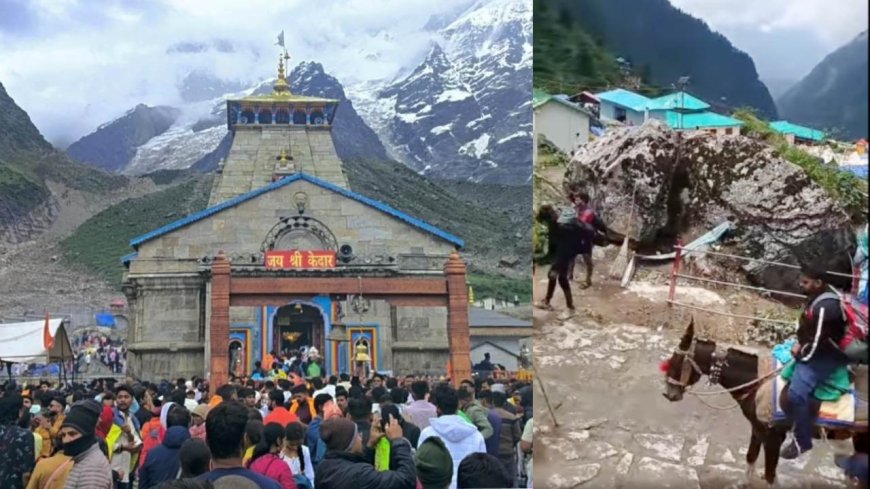चारधाम यात्रा पर अब तक पहुंचे 31.88 लाख श्रद्धालु, केदारनाथ धाम में हुआ 300 करोड़ का कारोबार
