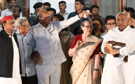 धनखड़ के लिए फेयरवेल डिनर रखेगा विपक्ष:दावा- पूर्व उपराष्ट्रपति के जाने की संभावना कम; कांग्रेस ने संसद में विदाई समारोह की मांग की थी