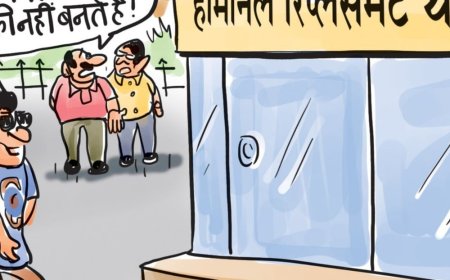 ₹1500 के लिए भैया बने लाडकी बहन:ऑडिट में खुलासा- 14,298 पुरुषों ने खुद को महिला बताकर महाराष्ट्र सरकार से ₹21.44 करोड़ ठगे