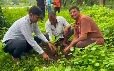 हमारी चौपाल’ परिवार और चंचल डेरी परिवार ने लिया पर्यावरण संरक्षण का संकल्प