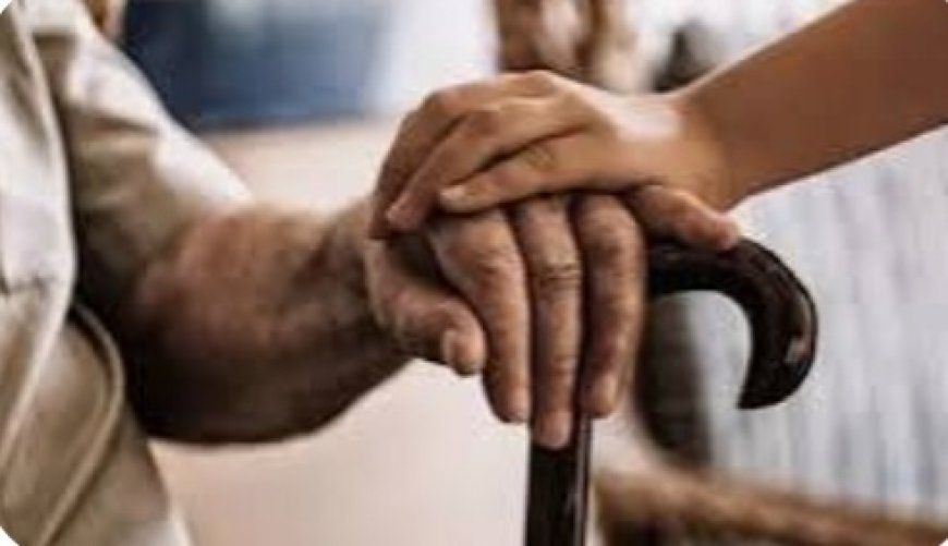वरिष्ठ नागरिकों की समस्याएं सुनेंगे जिलाधिकारी – मुख्यमंत्री