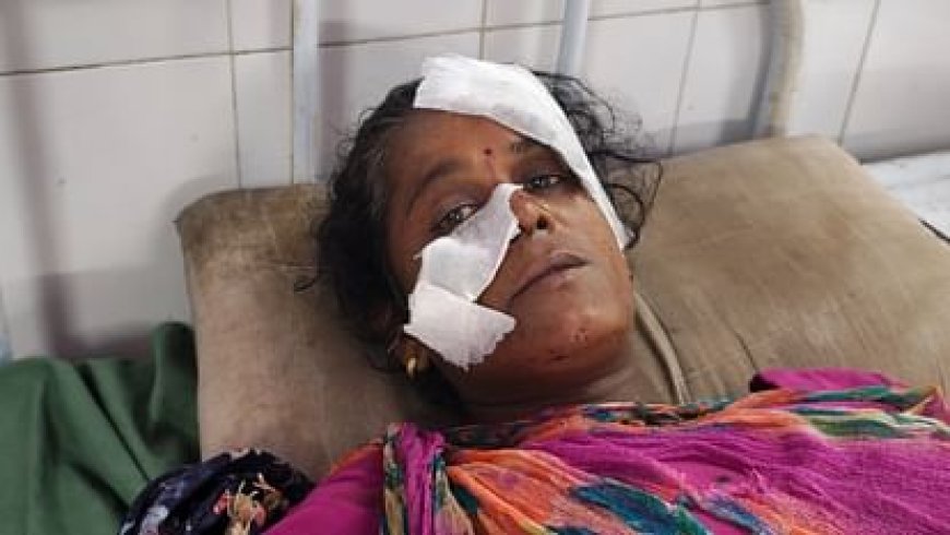 कमरे में सो रही महिला पर गुलदार ने किया हमला, दरवाजा तोड़कर बाहर खींचा, पति ने बचाई जान