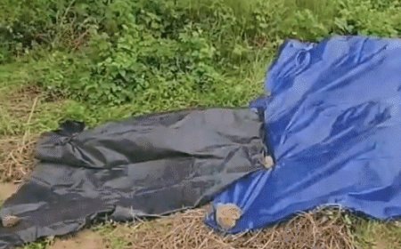 AIIMS में इलाज के दौरान ओडिशा की नाबालिग की मौत:19 जुलाई को जिंदा जलाया गया था; पुलिस बोली-किसी के शामिल होने के सबूत नहीं