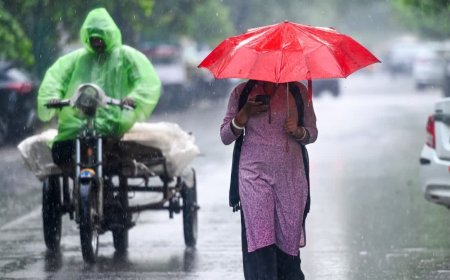 उत्तराखंड के इन जिलों में आज भीषण बारिश की संभावना, डीएम ने दिए स्कूलों में छुट्टी के आदेश