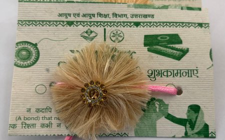 रक्षाबंधन पर बाजार में आकर्षक ईको फ्रेंडली सीड राखियों की धूम