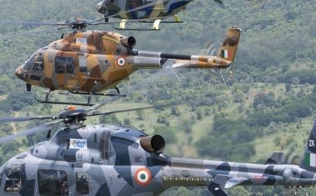 इंडियन आर्मी और एयरफोर्स को 200 नए हल्के हेलिकॉप्टर मिलेंगे:सेना को 120 और 80 वायुसेना को मिलेंगे, पुराने चेतक-चीता हेलिकॉप्टर रिटायर होंगे