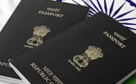 2024 में 2 लाख भारतीयों ने नागरिकता छोड़ी:ये 2020 की तुलना में ढाई गुना; केंद्र ने लोकसभा में पिछले 5 साल के आंकड़े दिए