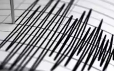 भास्कर अपडेट्स:हिमाचल प्रदेश के कांगड़ा में भूकंप, रिक्टर स्केल पर 3.9 तीव्रता दर्ज