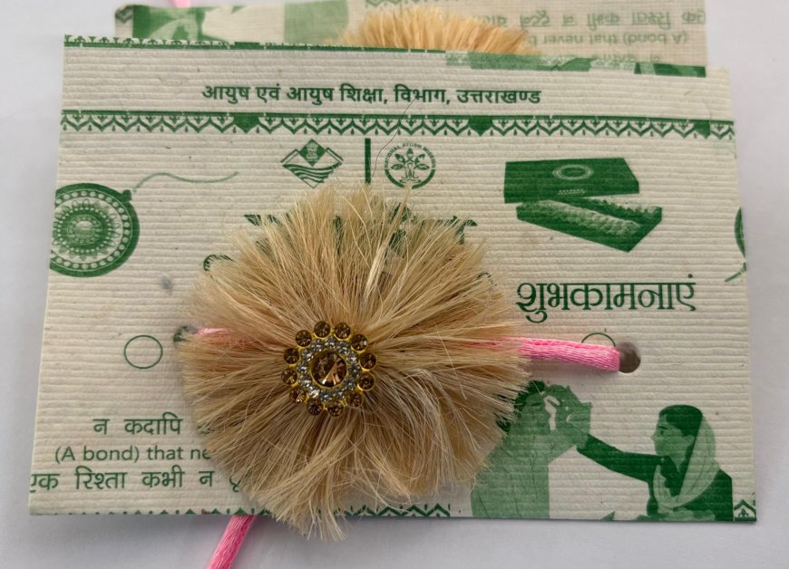 रक्षाबंधन पर बाजार में आकर्षक ईको फ्रेंडली सीड राखियों की धूम