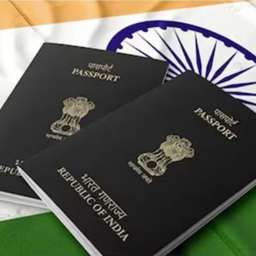 2024 में 2 लाख भारतीयों ने नागरिकता छोड़ी:ये 2020 की तुलना में ढाई गुना; केंद्र ने लोकसभा में पिछले 5 साल के आंकड़े दिए