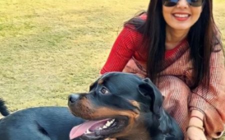 महुआ और उनके वकील के बीच कुत्ते की कस्टडी मामला:दिल्ली हाईकोर्ट बोला- दोनों आपस में विवाद को क्यों नहीं सुलझाते